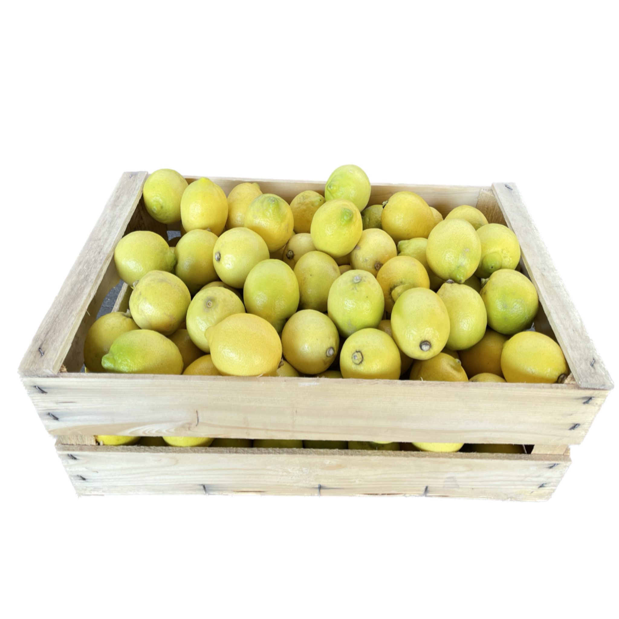 Limoni Bio Cassa 10kg