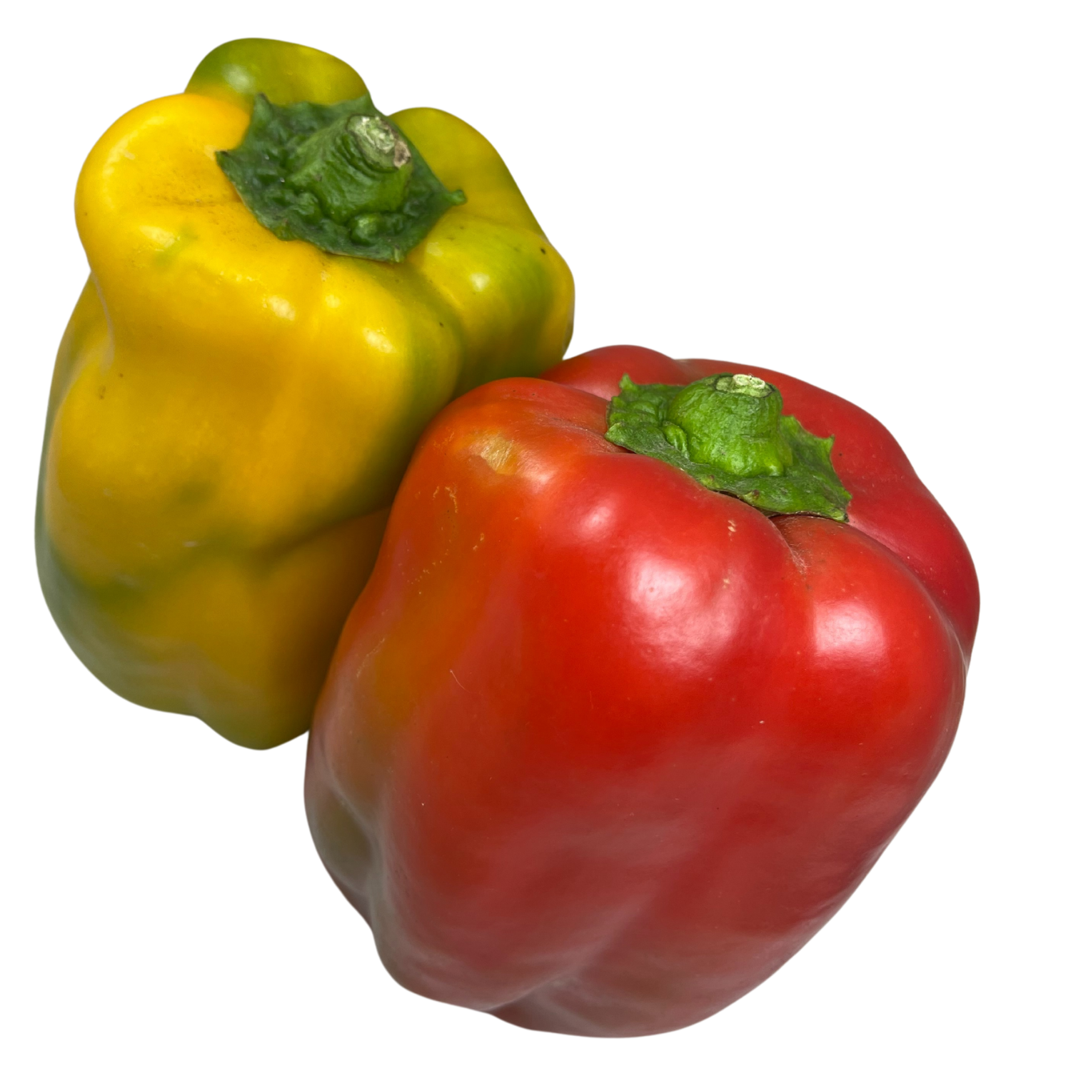 Paprika farbig Bio