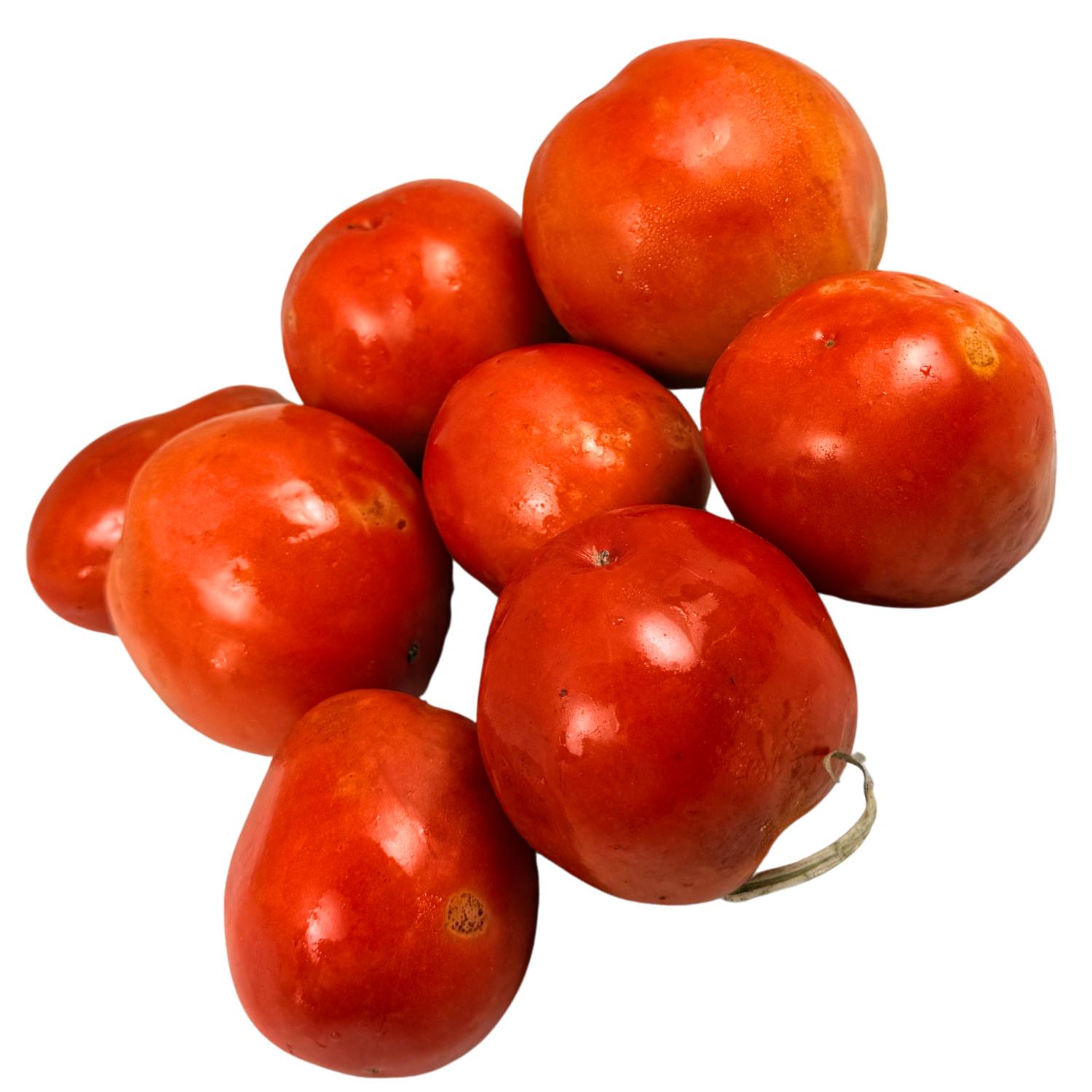 Sugotomaten Bio (Sorte Priapos)