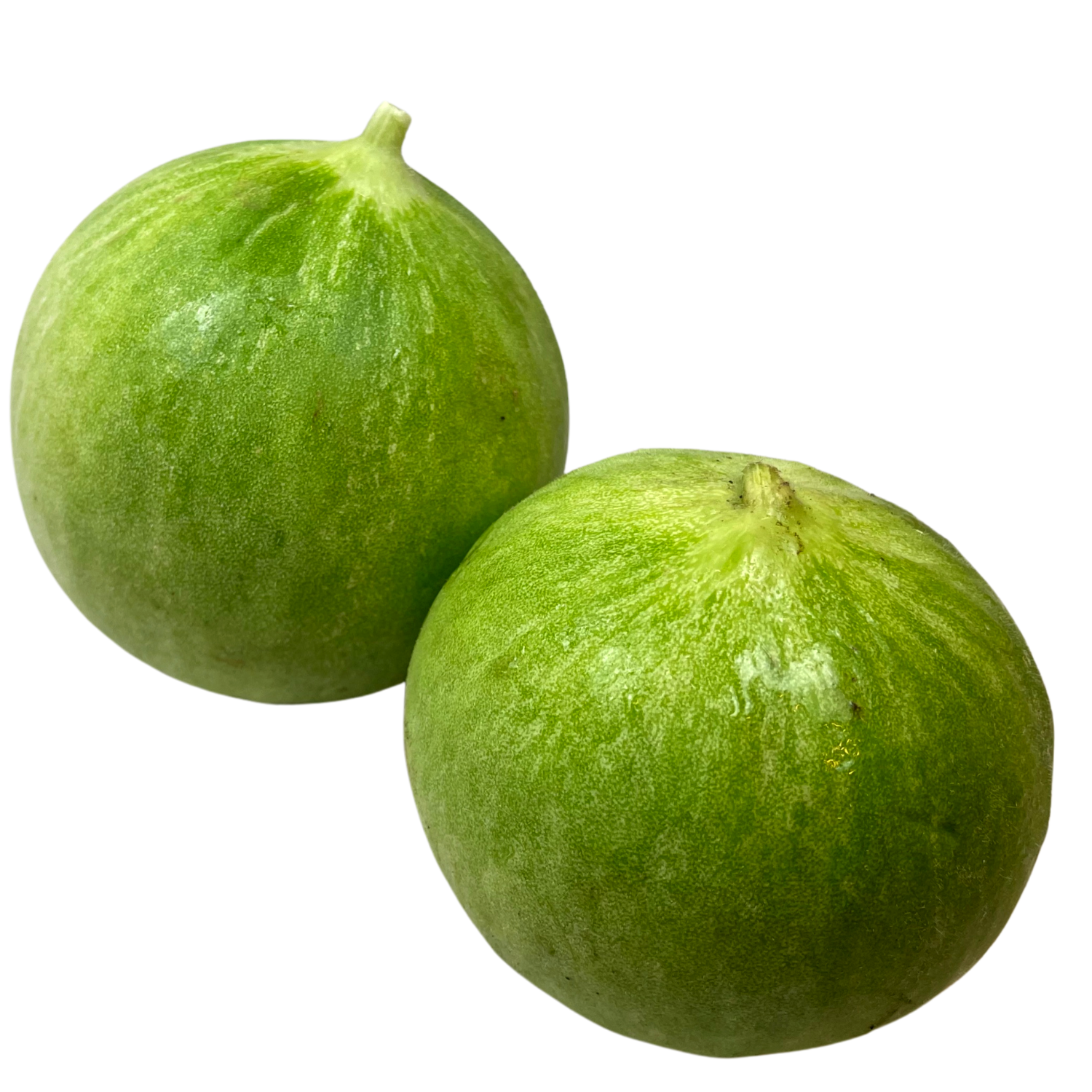 Gurkenmelone 'Barattiero' Bio