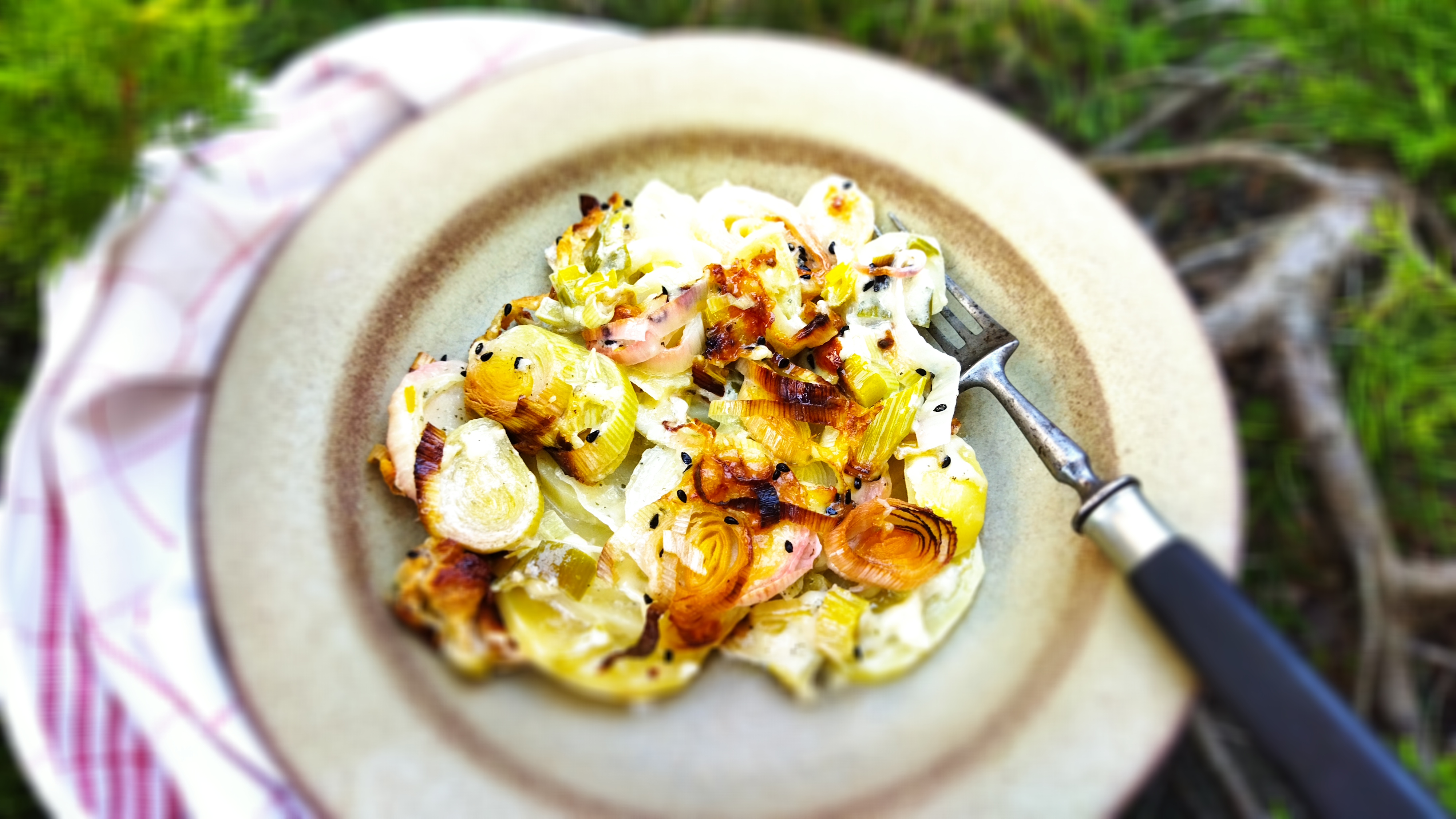 Lauch-Kartoffelgratin (8)